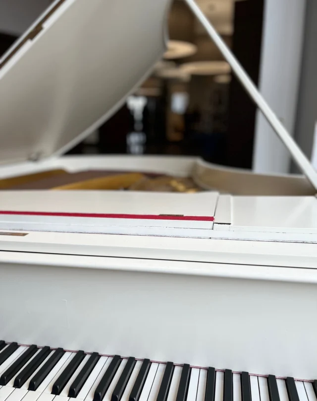 Pleasure to be back at the first Skypark Social in a long time! @skyparkglasgow #skypark #corporateentertainment #skyparkglasgow 
#edinburghwedding #glasgowpianist #glasgowpiano #glasgowwedding
#musician #pianist #pianistglasgow #pianistscotland #pianistwedding #pianoedinburgh #pianoglasgow #pianoscotland #pianovocal #scottishwedding #scottishweddingpianist #wedding #weddinginscotland #weddingmusic #weddingpianoscotland #weddingpianouk #weddings #weddingscotland #weddingsscotland #weddingvenue #yamahapiano