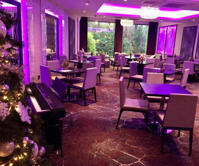 Christmas Wedding 🎄@dalmenyparkhotel  #pianist #musician #dalmenyparkhotel #weddingpianoscotland #ceremonymusuc #weddingscotland #scottishwedding #corporateentertainment #pianistscotland #weddingsinscotland #glasgowpiano #pianistwedding #pianistglasgow #pianoglasgow #pianoedinburgh #pianoscotland