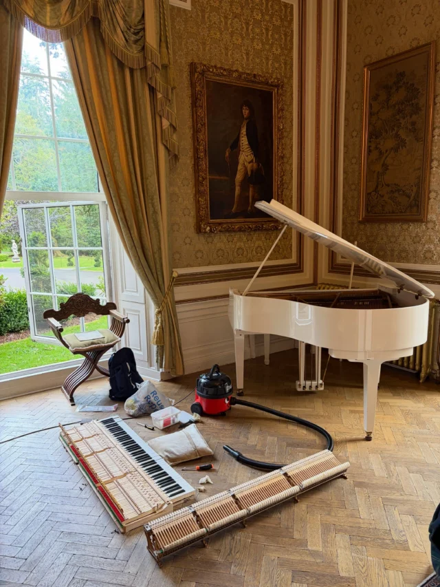 A beautiful wedding ceremony in St Palladius Church for Claire and Calum on Saturday,  then into the castle @drumtochtycastle to play during their drinks reception, starting inside on the baby grand then taking advantage of the sunny afternoon setting up my own piano outside. 💍🎹  I had free time before driving south to play at St Andrew’s Old Course Hotel at 9, so treated the piano to some much needed cleaning and servicing. Scroll for before & after.  #drumtochtycastle #weddingpianist #piano #pianotechnician #pianoservice  Pre clean - years of dust, dirt and dried out spilled drinks. 🍷  Pre clean - years of dust, dirt and dried out spilled drinks. 🍷  Pre clean - years of dust, dirt and dried out spilled drinks. 🍷 . Dampers not all functioning.  Pre clean - years of dust, dirt and dried out spilled drinks. 🍷  Pre clean  Action out - heavily worn/grooved hammers and damage from spilled drinks.  Action out - heavily worn/grooved hammers and damage from spilled drinks.  Action out - heavily worn/grooved hammers and damage from spilled drinks.  Action out - heavily worn/grooved hammers and damage from spilled drinks.  Action out - heavily worn/grooved hammers and damage from spilled drinks.  Hammer stack and Keys removed - Henry Hoover to clear the dust and confetti from weddings past, then polish of key pins, balance rail pins and key capstans to make the keys run smoothly and silently.  Hammer stack and Keys removed - Henry Hoover to clear the dust and confetti from weddings past, then polish of key pins, balance rail pins and key capstans to make the keys run smoothly and silently.  Hammers reshaped to remove grooves, dried out spilled drinks and restore a much improved tone.  Hammers reshaped to remove grooves, dried out spilled drinks and restore a much improved tone.  Hammers reshaped to remove grooves, dried out spilled drinks and restore a much improved tone.  Clean out and removing sticky drinks residue which was making the una corda (soft) pedal stick and creak.  Losing light by now but my time was up!  Looking much smarter. Had time allowed,  there are a few sticking notes and dampers which a little regulation should fix.  Losin